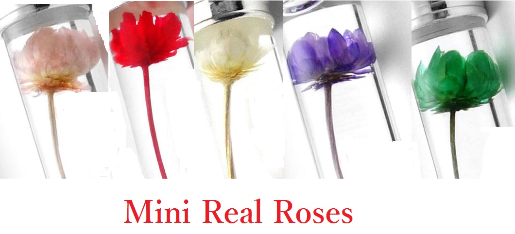 Mini Real Roses